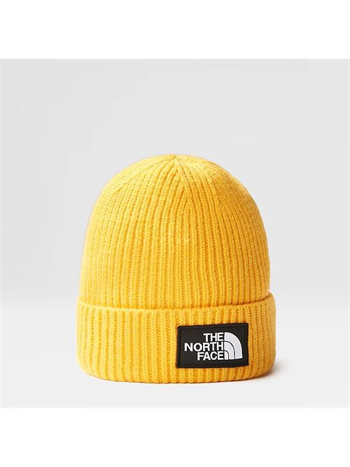 tnf logo box cuffed beanie THE NORTH FACE | NF0A3FJX56P1